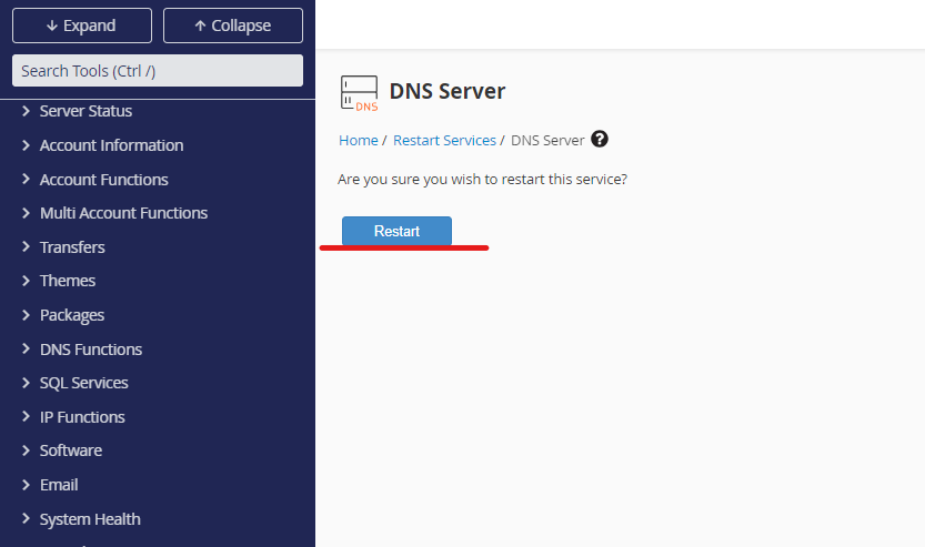 restart the DNS server